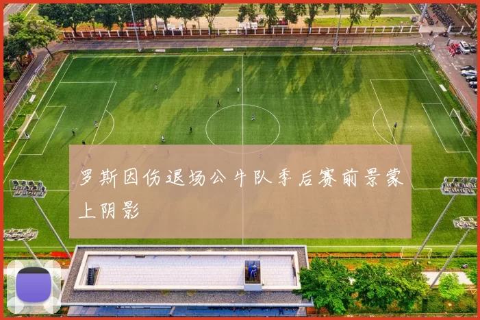 罗斯因伤退场公牛队季后赛前景蒙上阴影